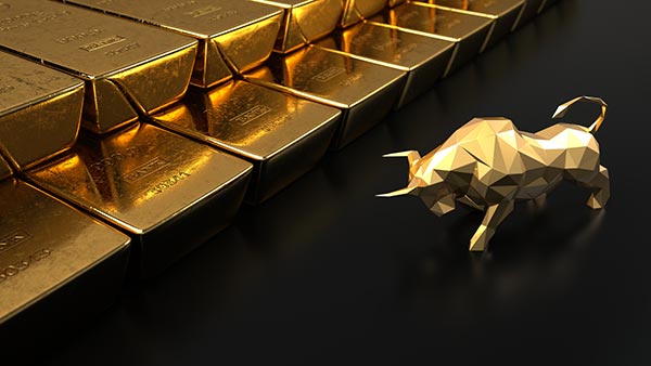 DNA PRO Robot de trading